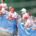 第104回全国高校野球選手権県大会の結果?